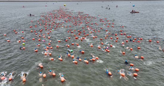 拉松游泳赛 拉松游泳赛